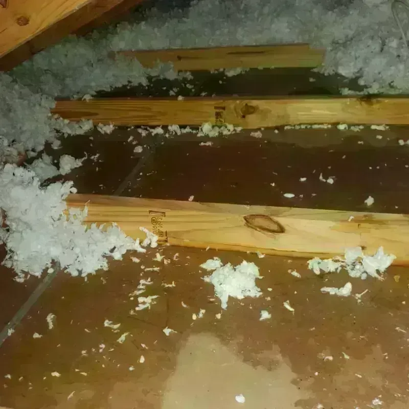 Attic Water Damage in Lithonia, GA