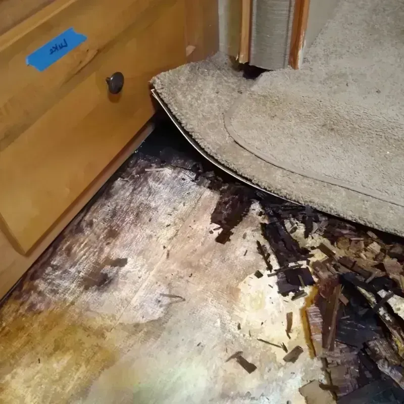 Best Wood Floor Water Damage Service in Lithonia, GA